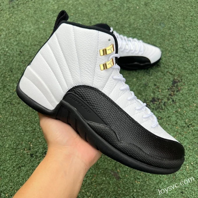 Air Jordan 12 