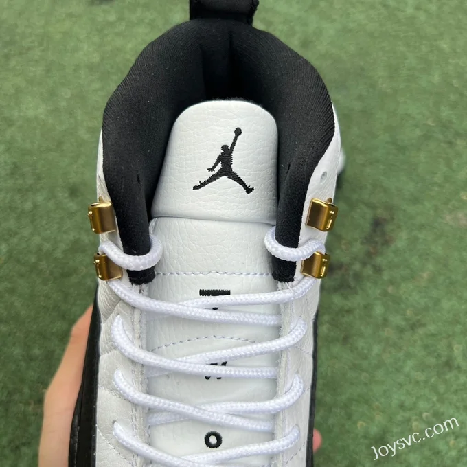 Air Jordan 12 