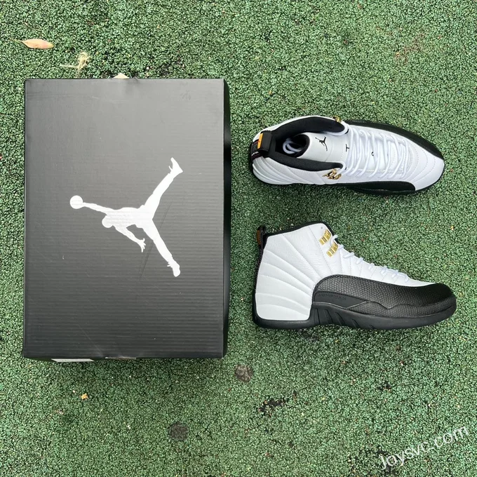 Air Jordan 12 