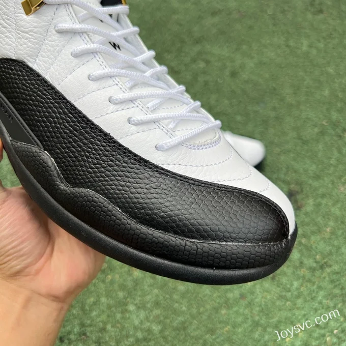 Air Jordan 12 