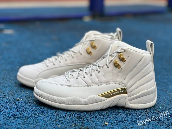 Air Jordan 12 