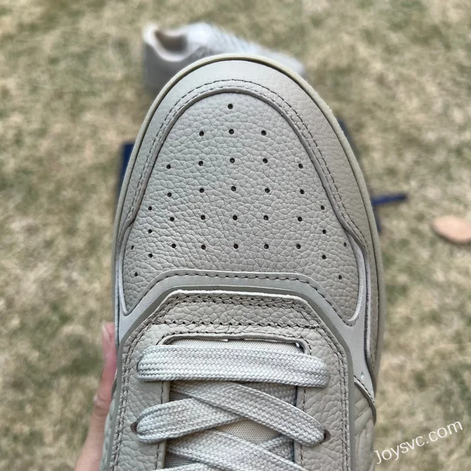 DIOR B27 Low Top Grey Beige Sneakers