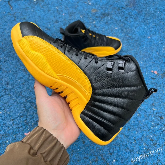 Air Jordan 12 