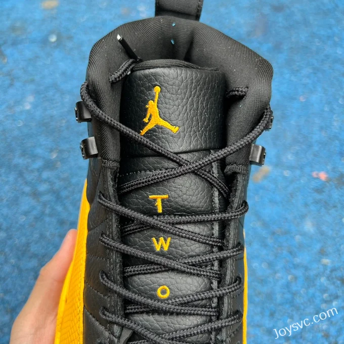 Air Jordan 12 