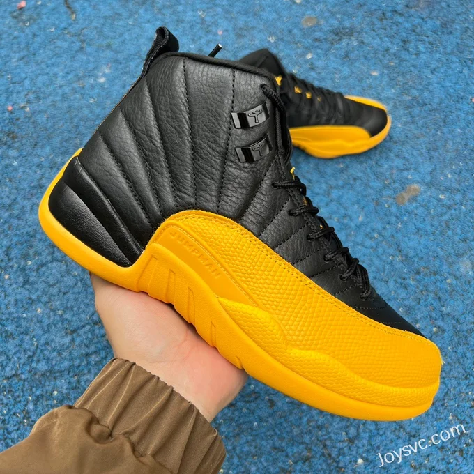 Air Jordan 12 