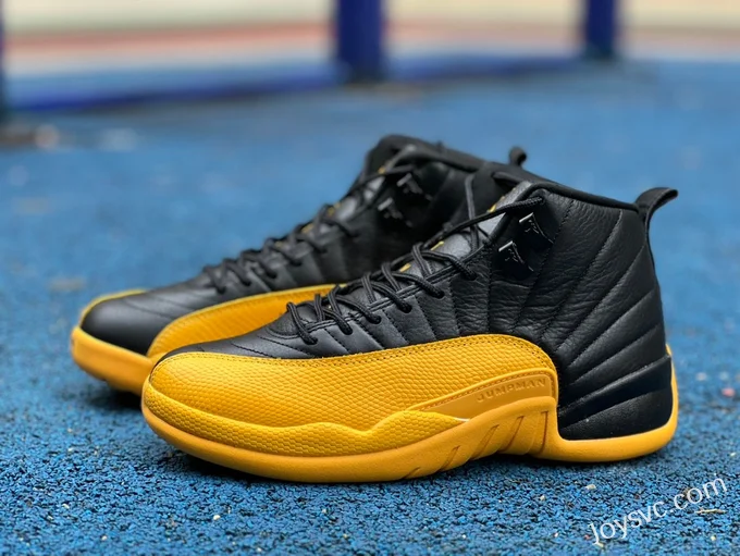 Air Jordan 12 