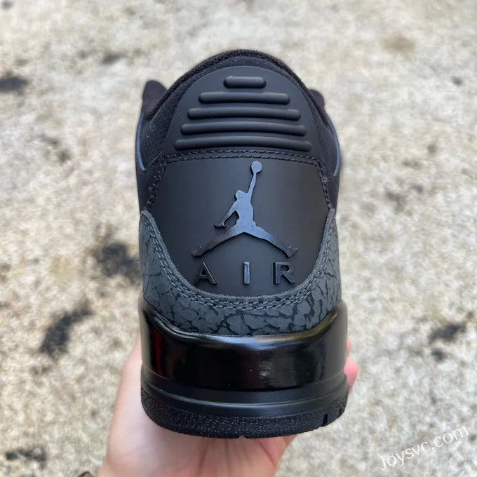 Air Jordan 3 