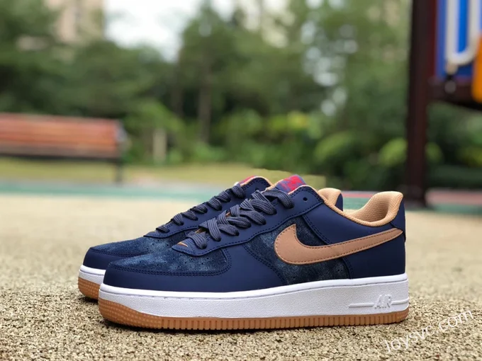 Nike Air Force 1 '07 LV8 Blue Brown Hook Low DD1259-400