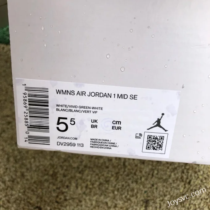 Air Jordan 1 Mid SE White Green Snake DV2959-113