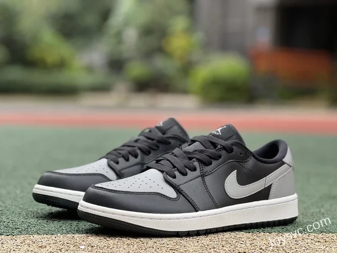 Air Jordan 1 Golf Shadow DD9315-001