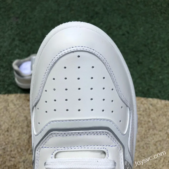 Dior B27 White Low Oblique Print Casual Shoes