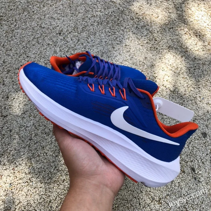 Nike Air Zoom Pegasus 38 Blue White Running Shoes DR1962-400