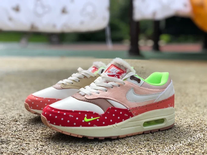 Nike Air Max 1 PRM Chinese Rural Dog DR2553-111