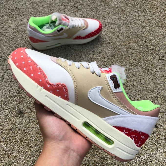 Nike Air Max 1 PRM Chinese Rural Dog DR2553-111