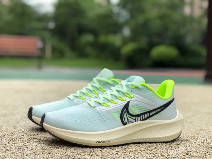 Nike Air Zoom Pegasus 39 Mint Green Running Shoes DH4071-301