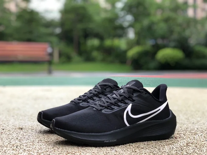 Nike Air Zoom Pegasus 39 Black Running Shoes DH4071-200