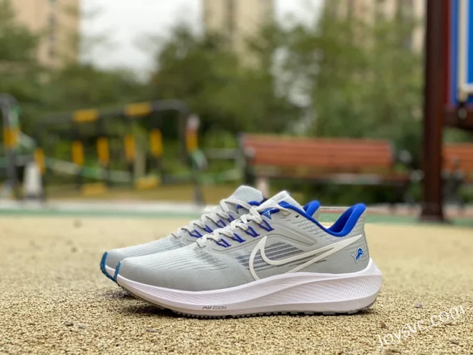 NIKE Pegasus 39 Grey Blue Running Shoes DR2042-001