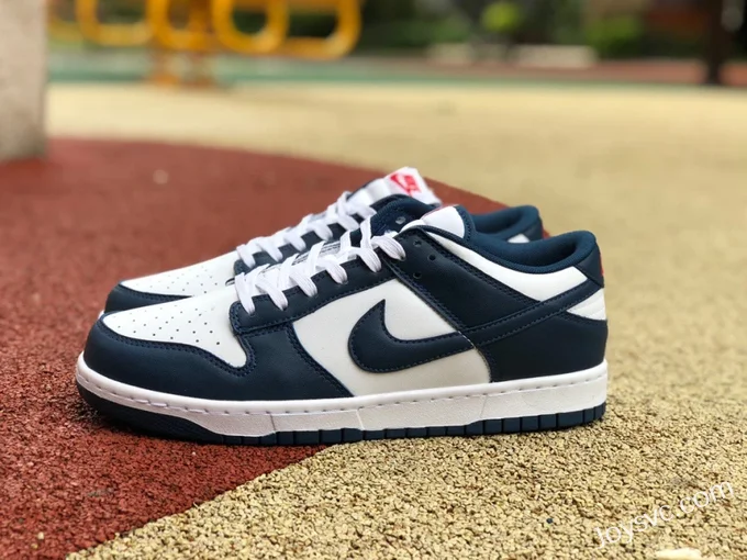 Nike Dunk Low Retro Valerian Blue DD1391-400