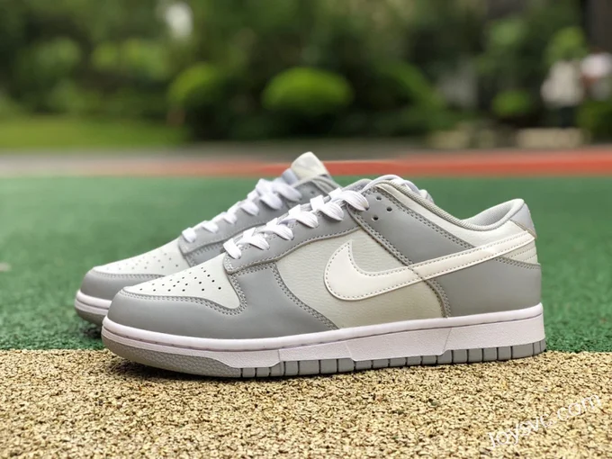 Nike Dunk Low Grey White DJ6188-001