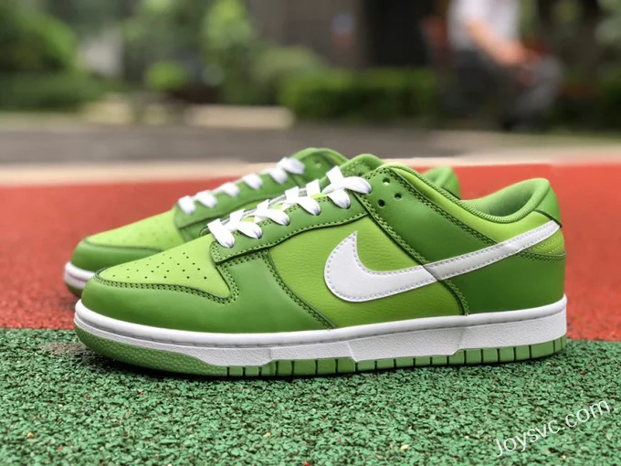 Nike Dunk Low Retro Forest Green Retro Sneakers DJ6188-300