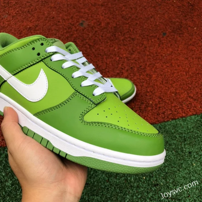 Nike Dunk Low Retro Forest Green Retro Sneakers DJ6188-300