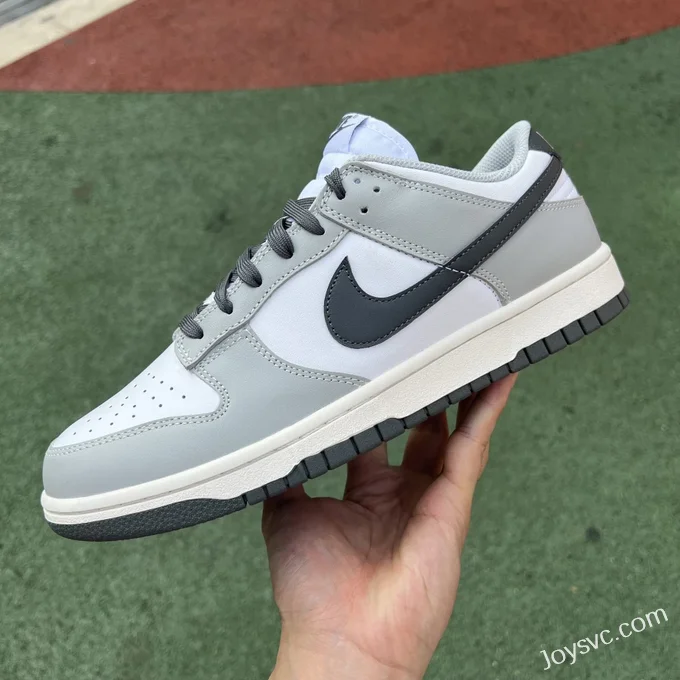 Nike WMNS Dunk Low Smoke Grey DD1503-117