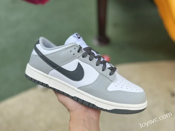 Nike WMNS Dunk Low Smoke Grey DD1503-117