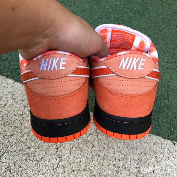 Nike SB Dunk Low Orange Lobster FD8776-800