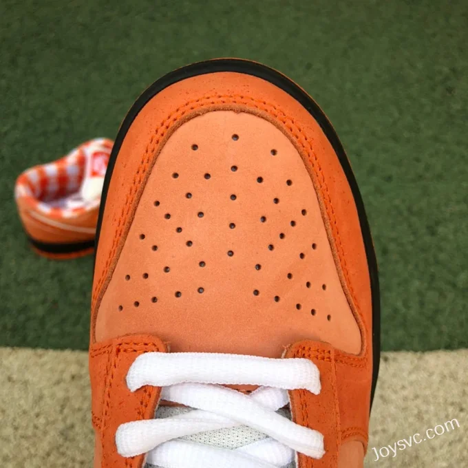 Nike SB Dunk Low Orange Lobster FD8776-800