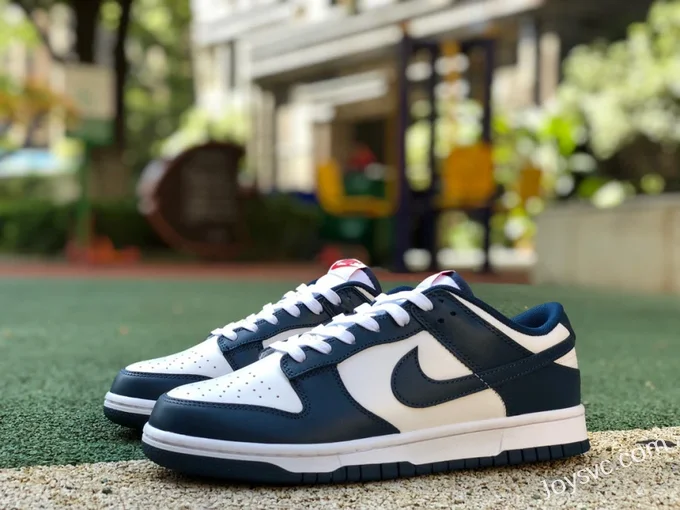 Nike Dunk Low Retro White Navy Casual Sneakers DD1391-400