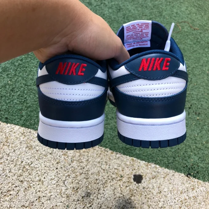 Nike Dunk Low Retro White Navy Casual Sneakers DD1391-400