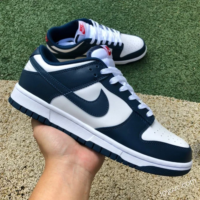 Nike Dunk Low Retro White Navy Casual Sneakers DD1391-400