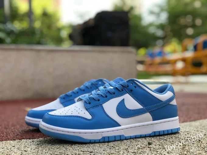 Nike Dunk Low Retro University Blue DD1391-102