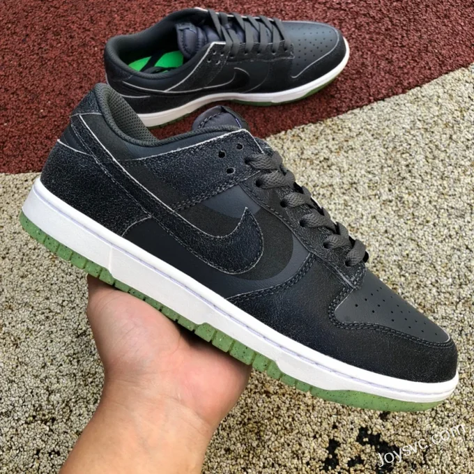 Nike Dunk Low Iron Grey DQ7681-001