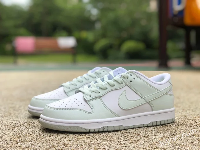 Nike Dunk Low Mint Green Retro Sneakers DN1431-102