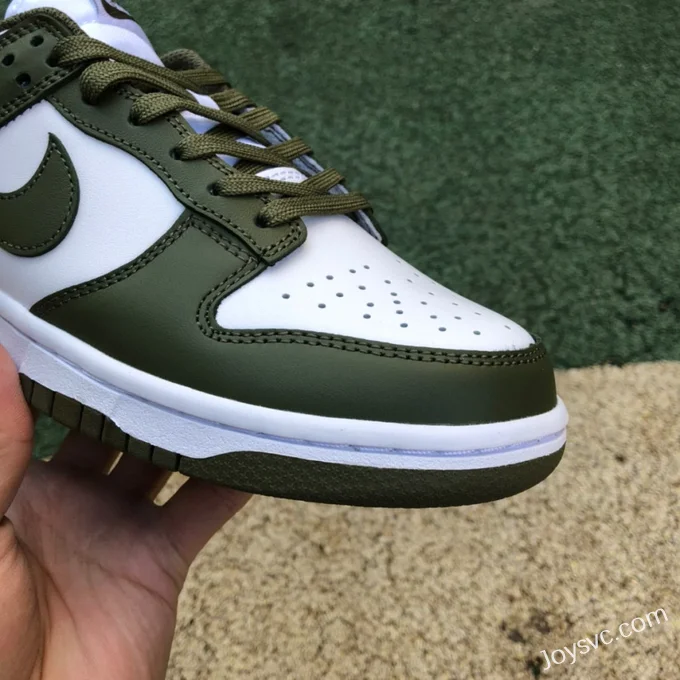 Nike Dunk Low Medium Olive Casual Sneakers DD1503-120