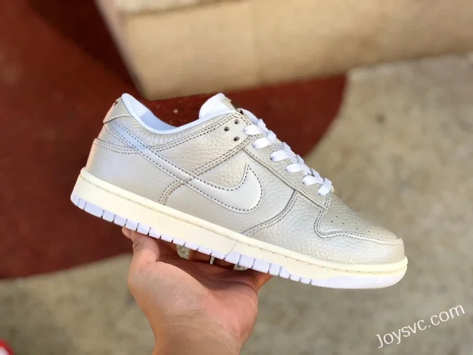 Nike Dunk Low Silver White Limited DX3197-095