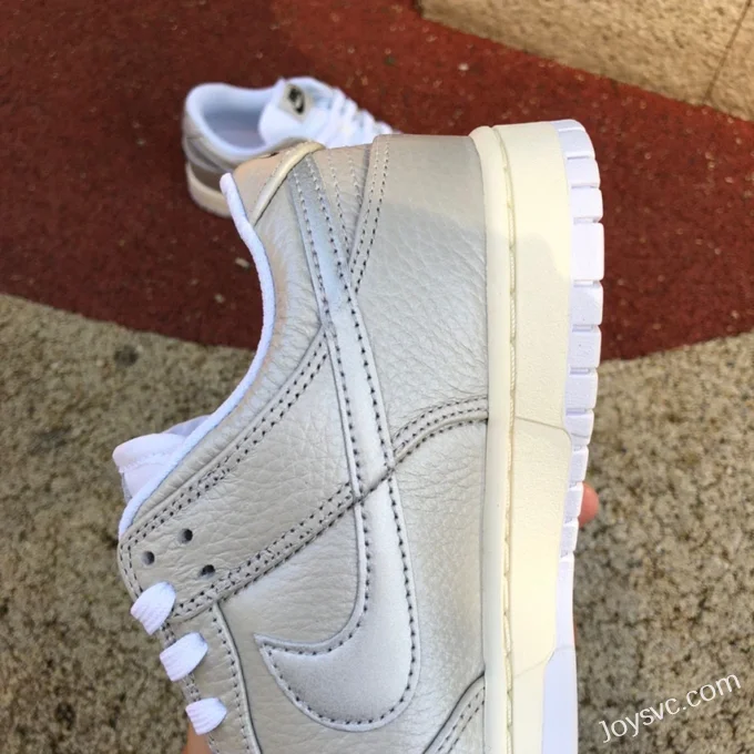 Nike Dunk Low Silver White Limited DX3197-095