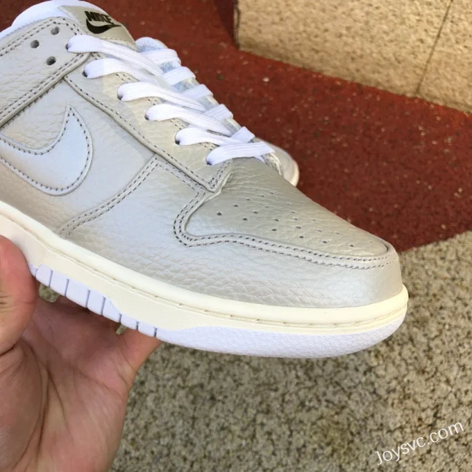 Nike Dunk Low Silver White Limited DX3197-095