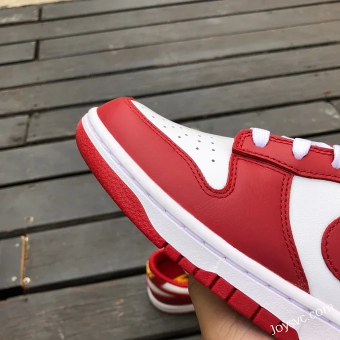 Nike Dunk Low Retro Gym Red White Red DD1391-602