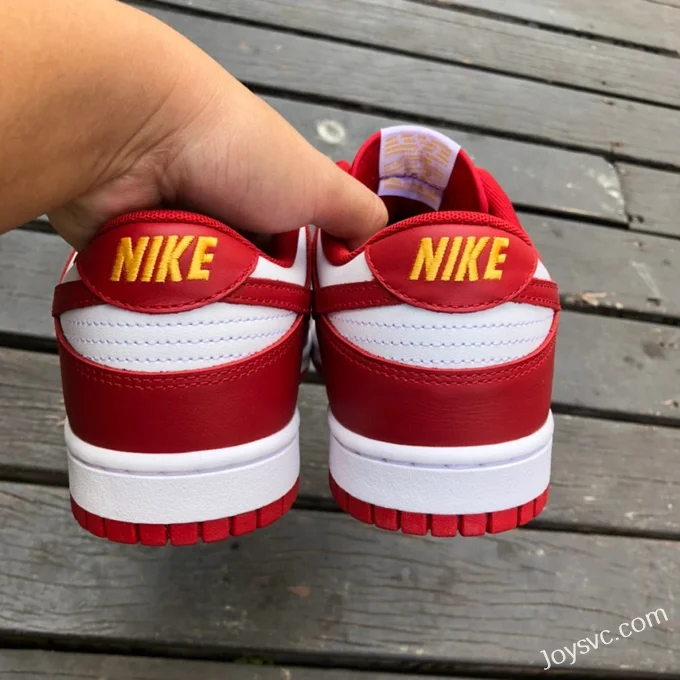 Nike Dunk Low Retro Gym Red White Red DD1391-602