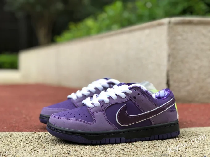 Nike SB Dunk Low Concepts Purple Lobster BV1310-555