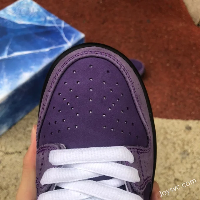 Nike SB Dunk Low Concepts Purple Lobster BV1310-555