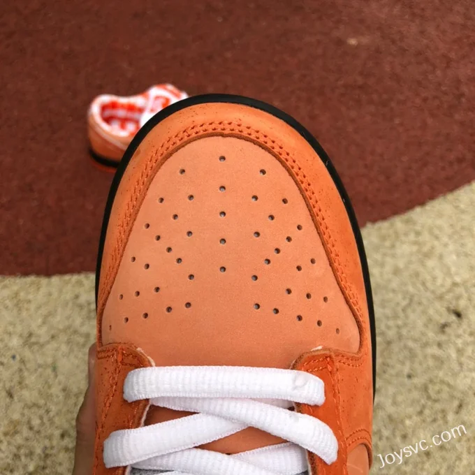 Nike SB Dunk Low Orange Lobster FD8776-800