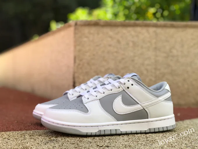 Nike Dunk Low White Grey Retro Casual Sneakers DJ6188-003