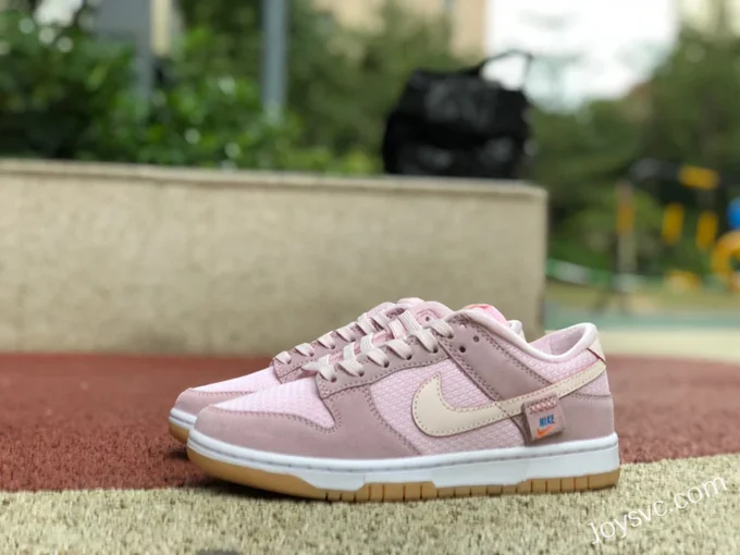 Nike Dunk Low Teddy Bear Pink DZ5318-640