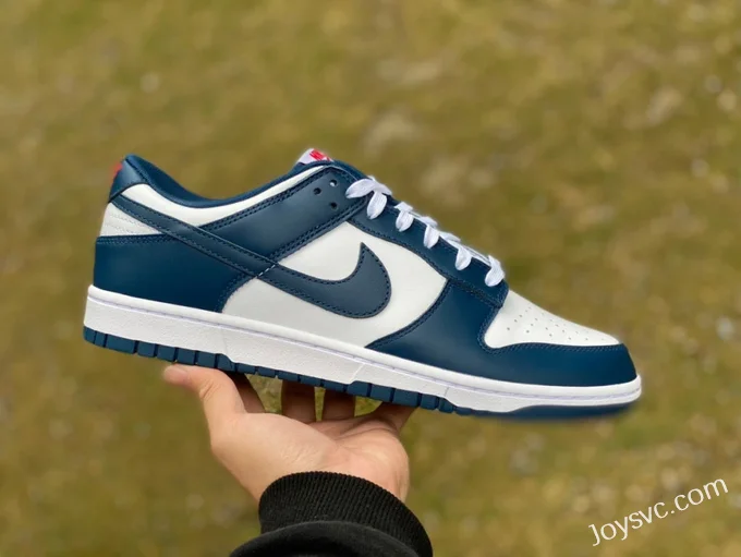 Nike Dunk Low Retro White Navy Casual Sneakers DD1391-400