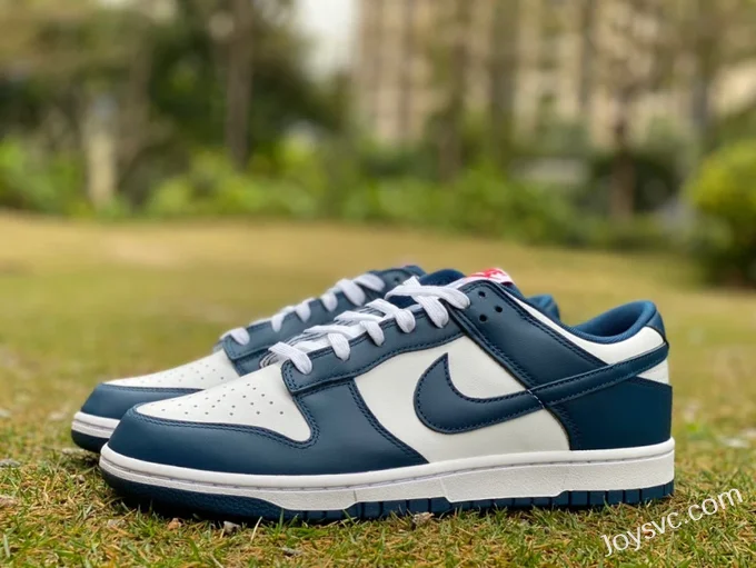 Nike Dunk Low Retro White Navy Casual Sneakers DD1391-400