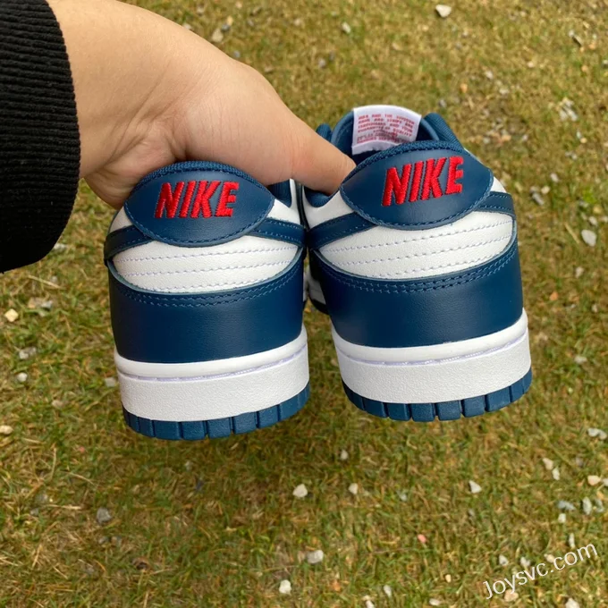 Nike Dunk Low Retro White Navy Casual Sneakers DD1391-400