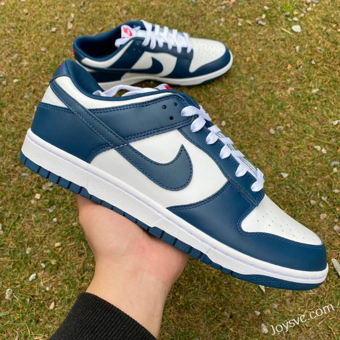 Nike Dunk Low Retro White Navy Casual Sneakers DD1391-400